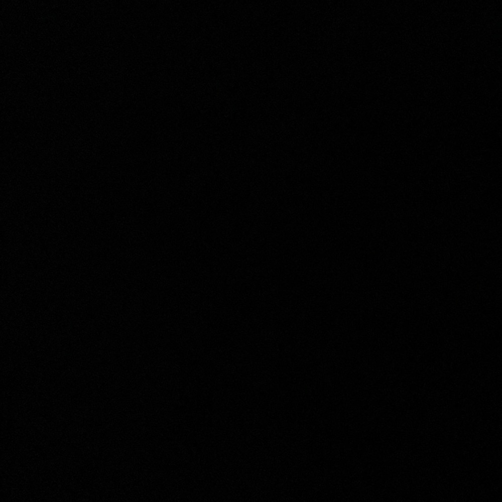 Meet your Posher, Hoonigan